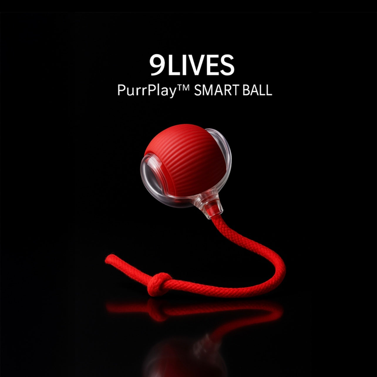 9livessupply