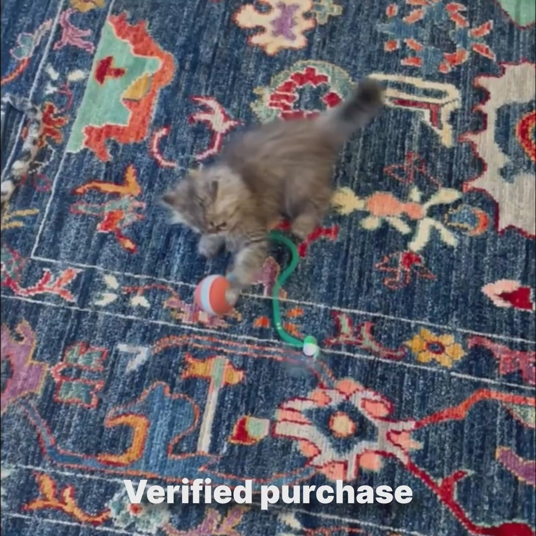 9livessupply