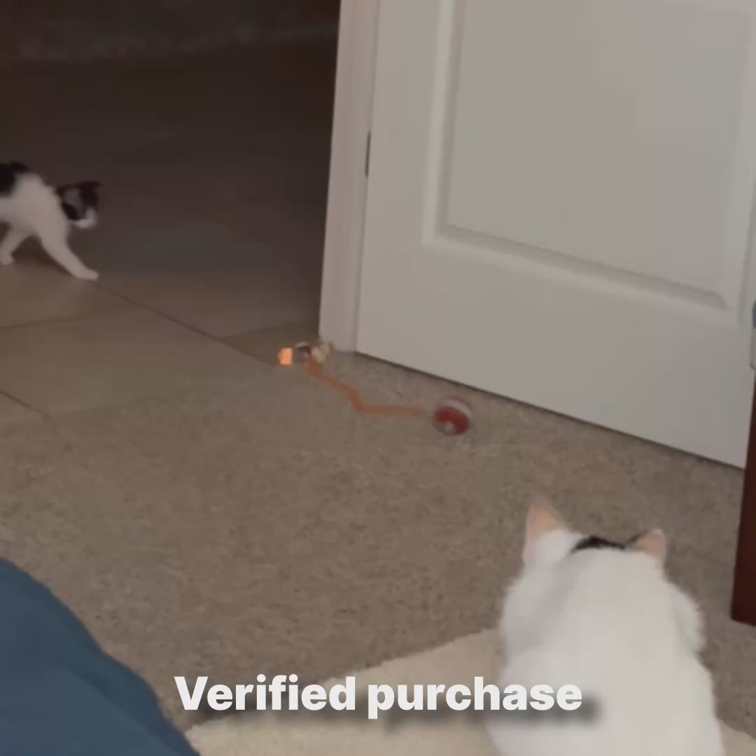 9livessupply